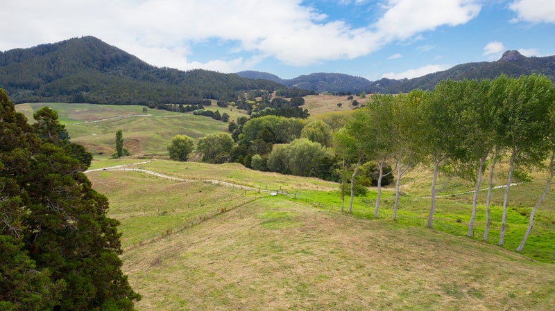 445 Gibbons Road, Kaiwaka - Carousel 1