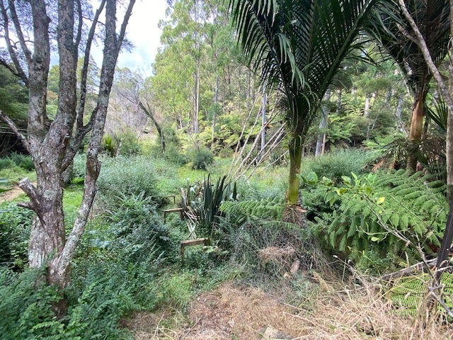 0 Peria Valley Road, Peria, Kaitaia - Carousel 26