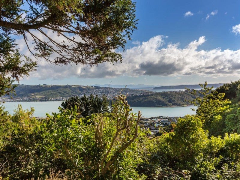 23 Doncaster Terrace, Ascot Park, Porirua - Carousel 2