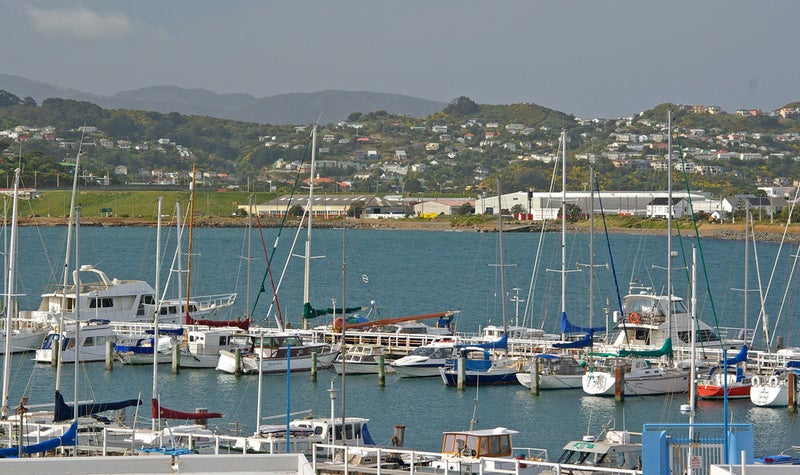 492 Evans Bay Parade, Hataitai, Wellington - Carousel 20