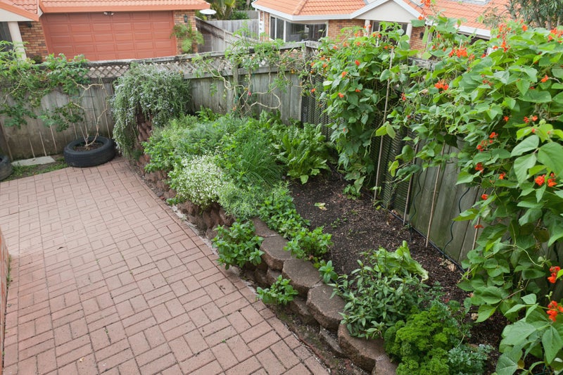 11 Sprott Road, Kohimarama, Auckland - Carousel 18