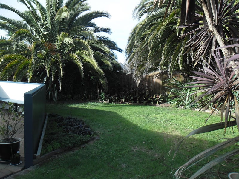 6 Genoa Close, Flagstaff, Hamilton - Carousel 2