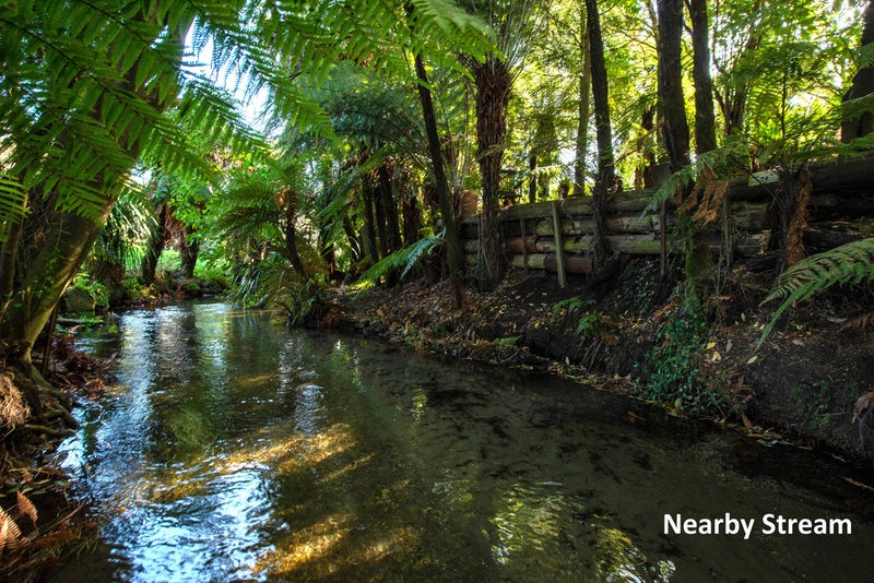 10 Amokura Street, Fairy Springs, Rotorua - Carousel 15