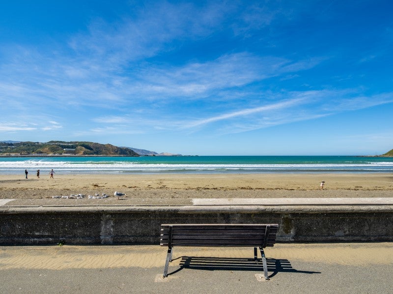 78 Lyall Parade, Lyall Bay, Wellington - Carousel 16