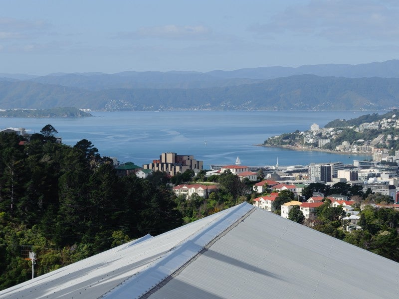 5 Koromiko Road, Aro Valley, Wellington - Carousel 2