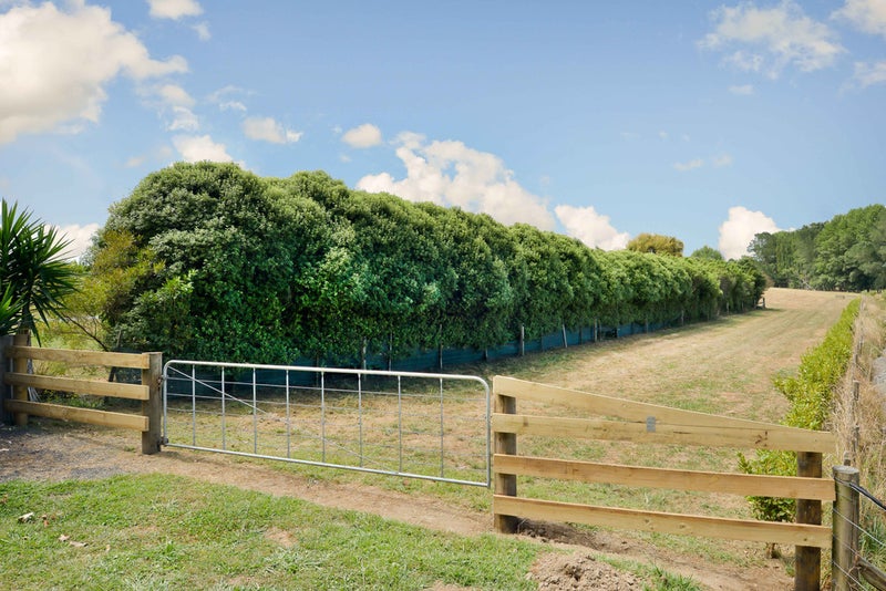 548C Te Kowhai Road, Te Kowhai, Hamilton - Carousel 2