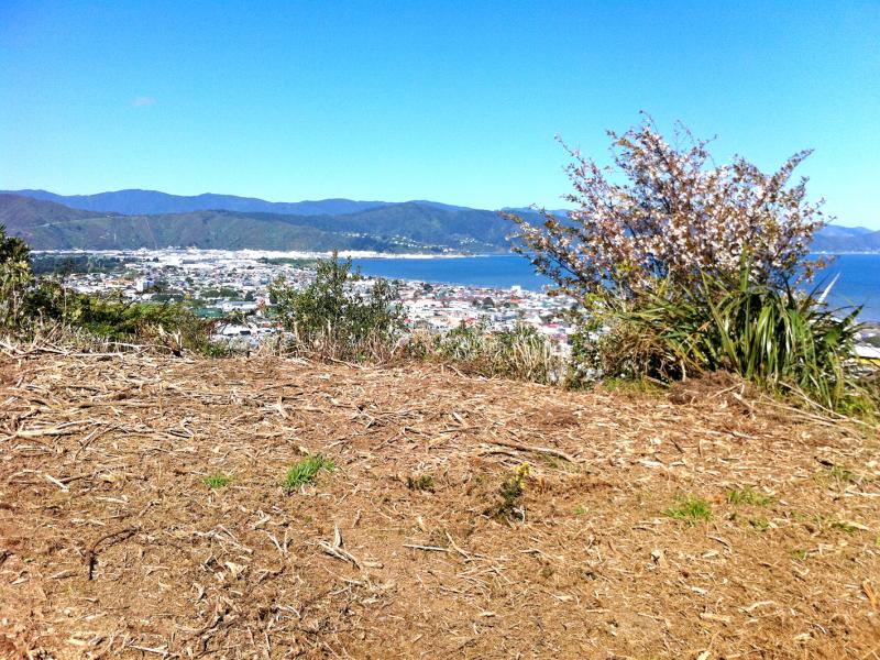 19 Rakeiora Grove, Korokoro, Lower Hutt - Carousel 1