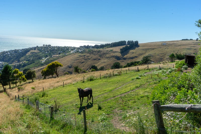 359 Mount Pleasant Road, Mount Pleasant, Christchurch - Carousel 13
