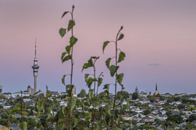 1A Cox Street, Ponsonby, Auckland - Carousel 2
