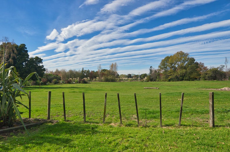 190 Manaia Road, Homebush, Masterton - Carousel 26