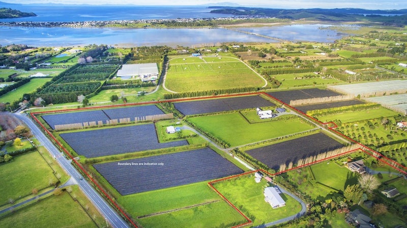 215 Omaha Flats Road, Point Wells - Carousel 15