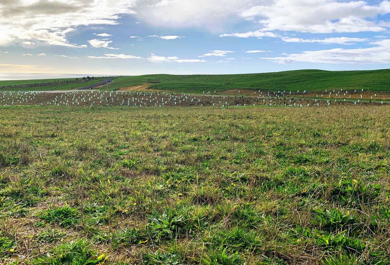 8 Te Papa Lane, Upper Moutere - Carousel 5