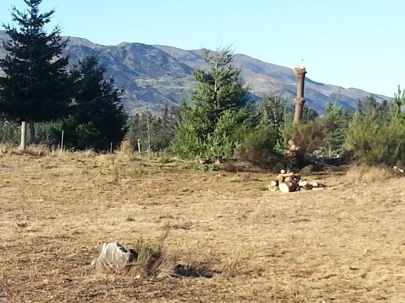 48B Nichol Street, Wanaka - Carousel 2