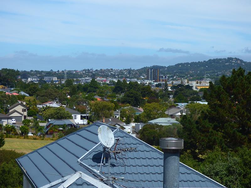 3/16 Fairlands Avenue, Waterview, Auckland - Carousel 9