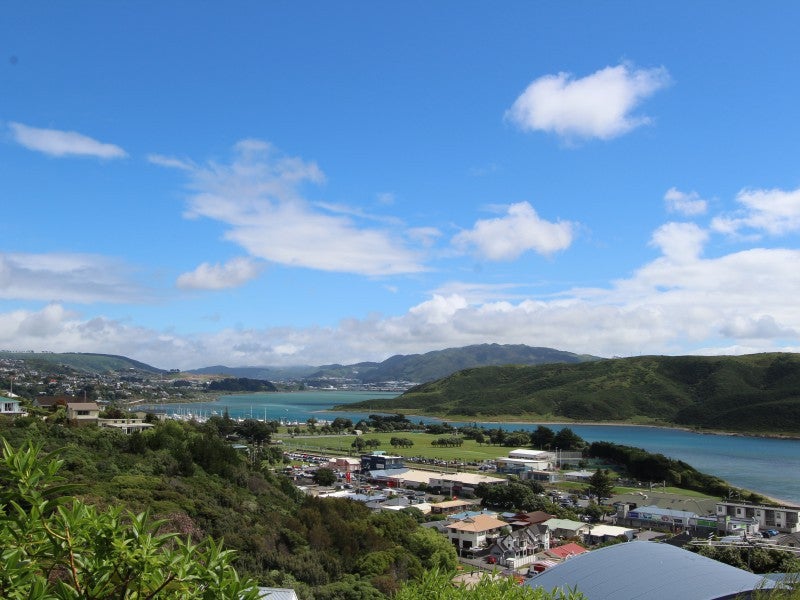 61 Mana View Road, Paremata, Porirua - Carousel 21