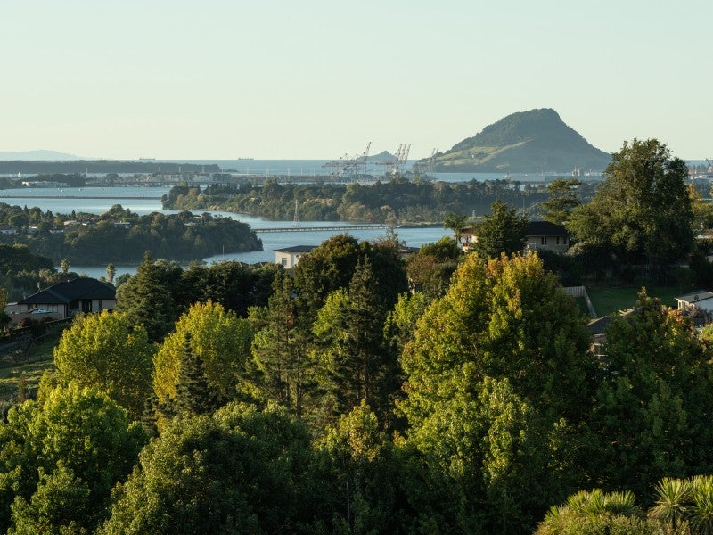 30 Holcombrooke Lane, Welcome Bay, Tauranga - Carousel 2