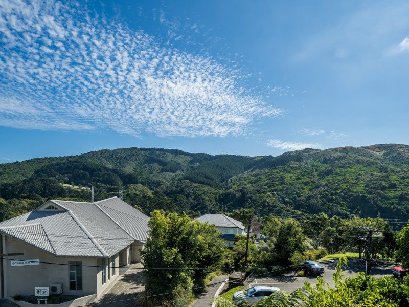 29A Worcester Street, Wilton, Wellington - Carousel 2