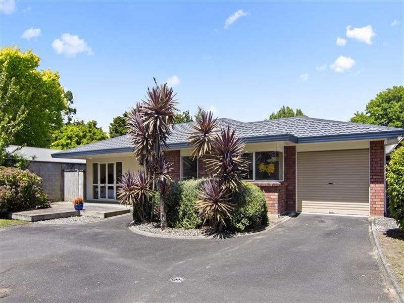 10A Stanley Street, Claudelands, Hamilton - Carousel 1