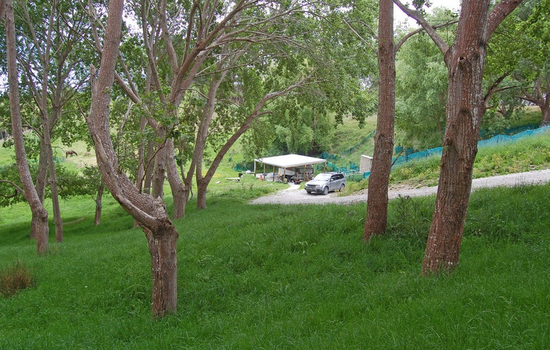 319 Parekura Road, Kaiwaka - Carousel 2