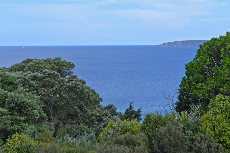 42 Wonderview Road, Leigh, Leigh - Carousel 2