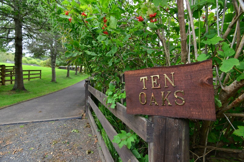 447 Ahuroa Road, Puhoi, Warkworth - Carousel 2