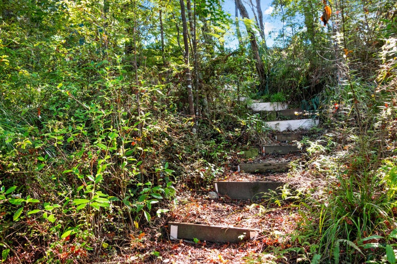 31 Trotter Avenue, Waiomu, Thames - Carousel 20