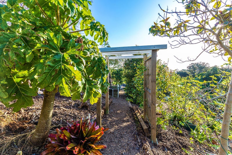 36 Hill Road, Palm Beach, Waiheke Island - Carousel 22