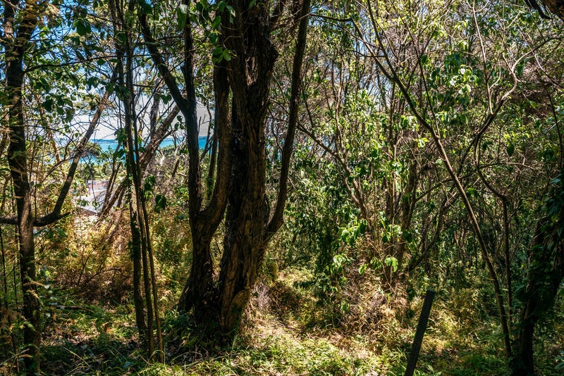 62 O'brien Road, Ōmiha, Waiheke Island - Carousel 2