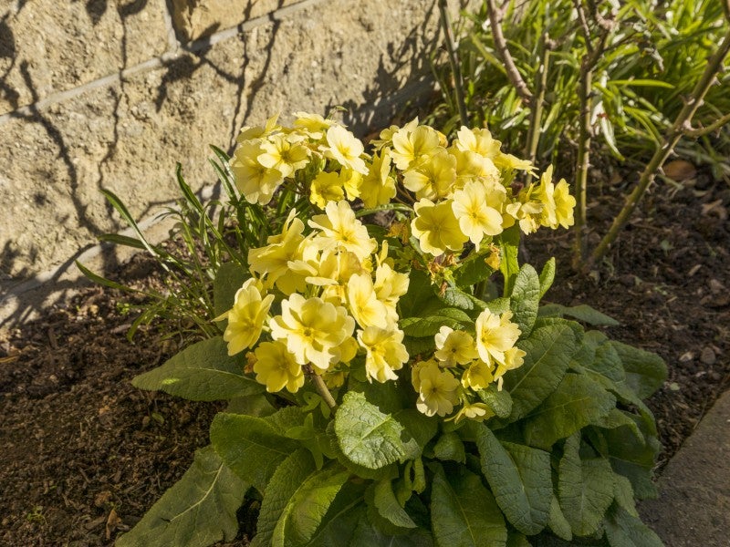 963B High Street, Avalon, Lower Hutt - Carousel 17