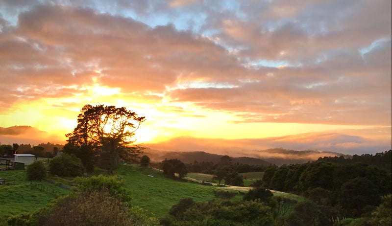 23 Laingfield Terrace, Laingholm, Auckland - Carousel 32