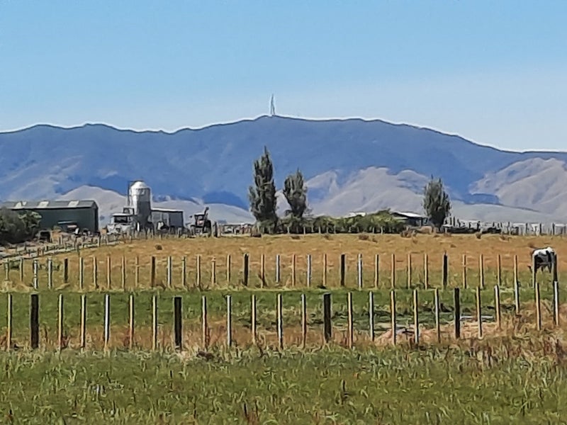 1280 Taonui Road, Colyton, Feilding - Carousel 2