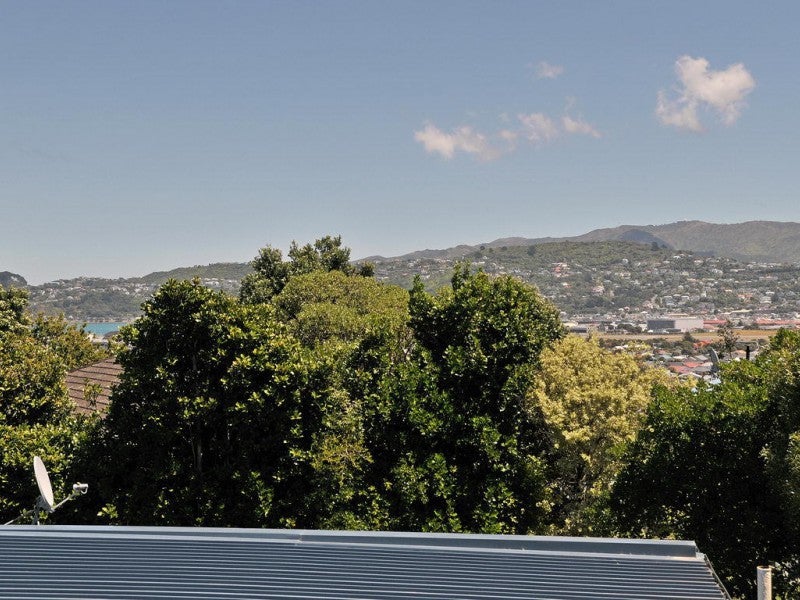 19B Tio Tio Road, Miramar, Wellington - Carousel 11