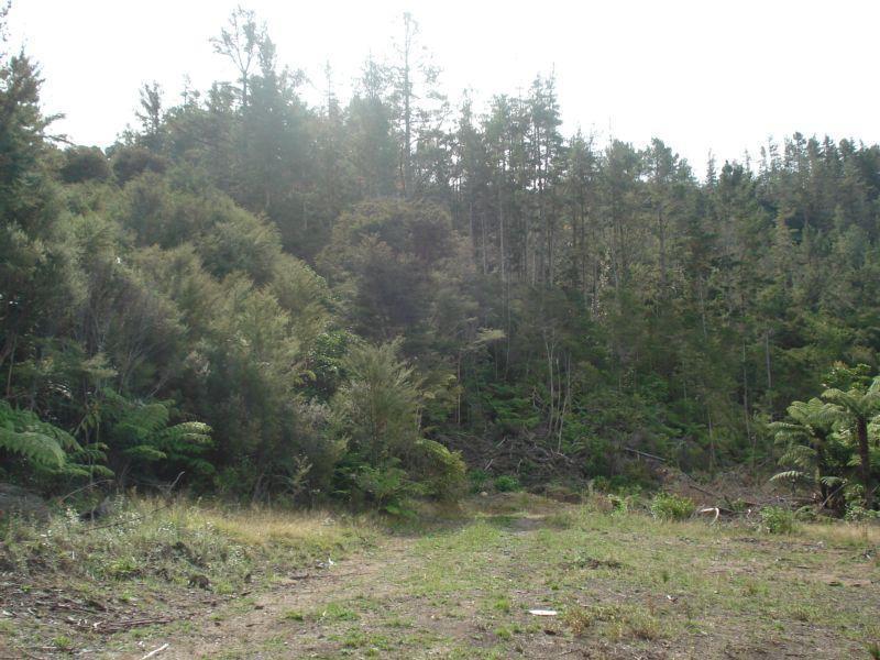 580A Hikuai Settlement Road, Hikuai - Carousel 9