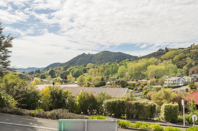 60 Torlesse Street, Enner Glynn, Nelson - Carousel 17