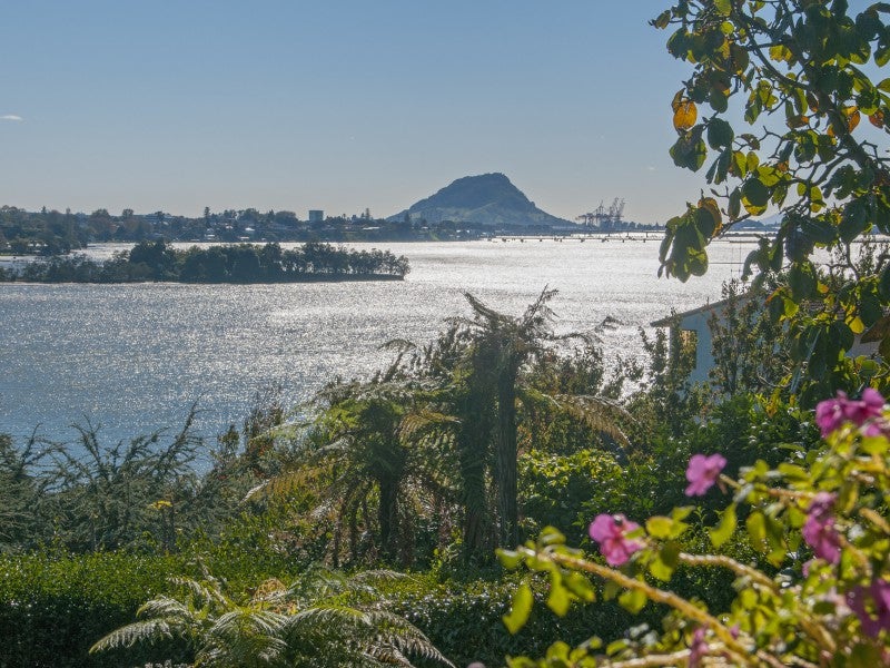 9 Tutauanui Crescent, Maungatapu, Tauranga - Carousel 1