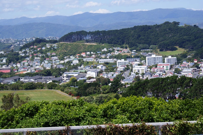 56 Farnham Street, Mornington, Wellington - Carousel 2