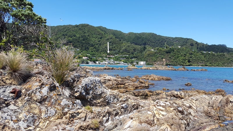 2/69 Walter Road, Lowry Bay, Lower Hutt - Carousel 9