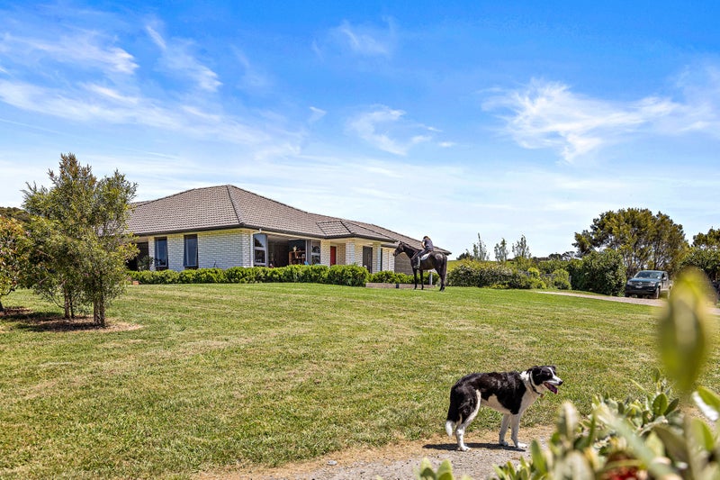 42 Rauhori Road, Kaukapakapa - Carousel 20