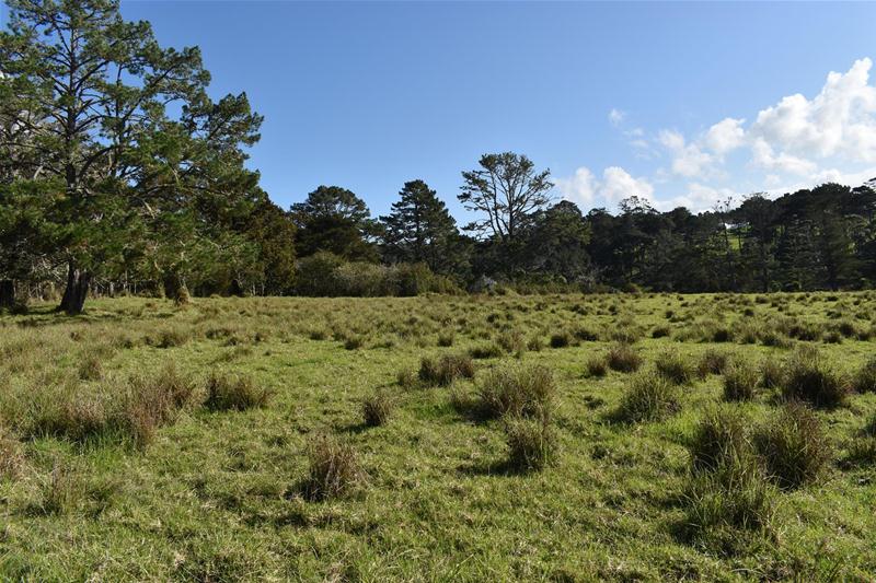 6 Coulter Road, Swanson, Auckland - Carousel 21