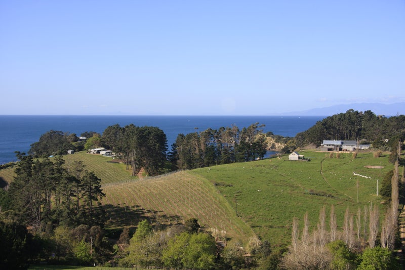 40 Tiri Road, Oneroa, Waiheke Island - Carousel 2