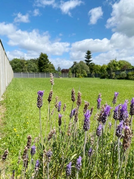 4 Ngaio Street, Levin, Levin - Carousel 2