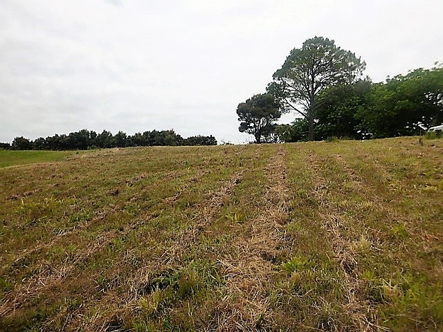 6 George Street, Mangonui - Carousel 4