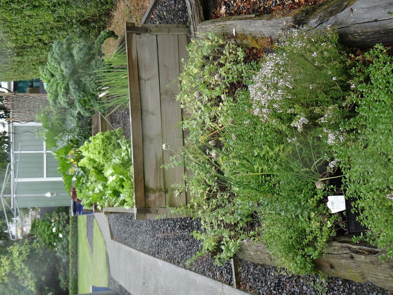 285A King Street, Temuka - Carousel 21