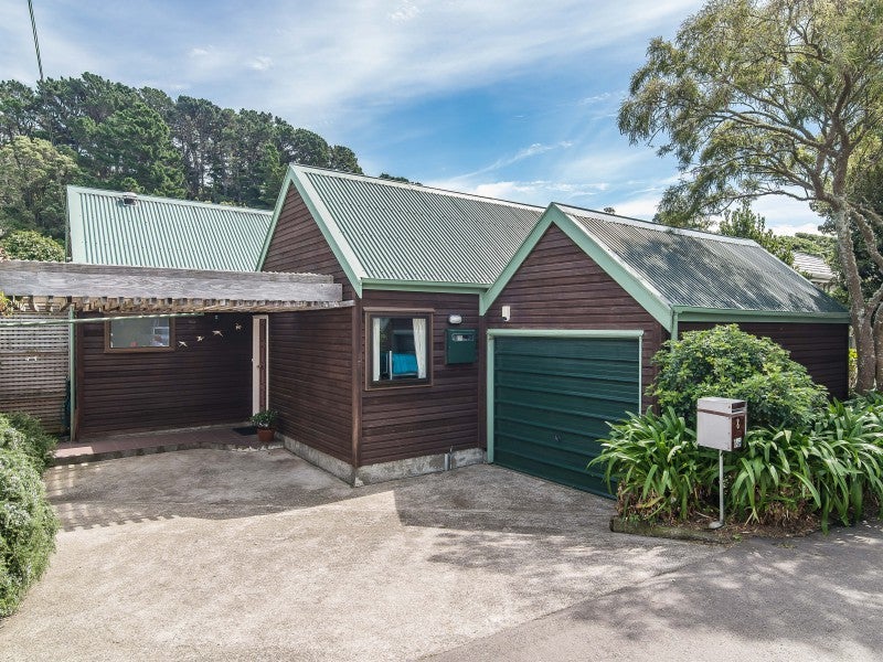 8 Salisbury Avenue, Mount Cook, Wellington - Carousel 1