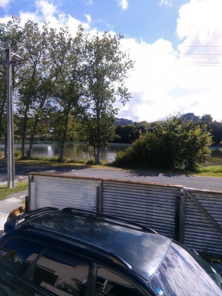 6 Thomson Street, Gisborne, Gisborne - Carousel 2