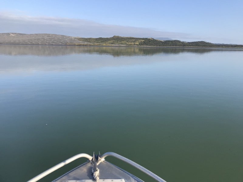 44 Okapu Place, Kawhia - Carousel 2