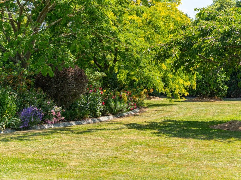 148 Willow Park Drive, Masterton - Carousel 17