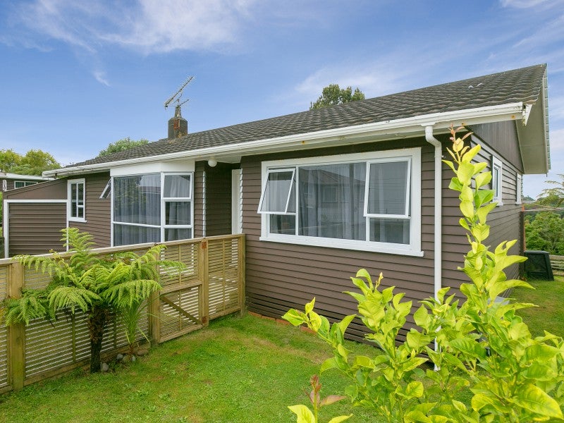 19 Clyde Street, Ferndale, New Plymouth - Carousel 1