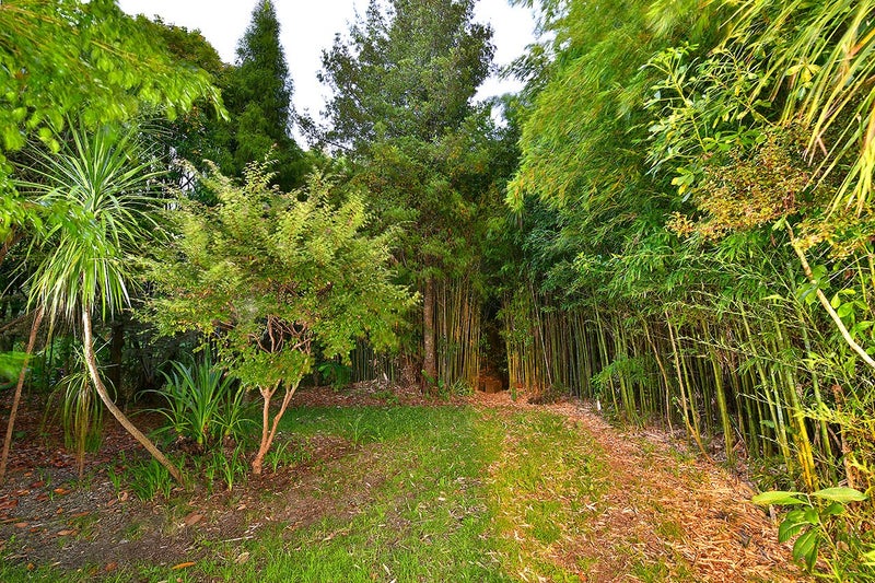 75 Saddleback Rise, Murrays Bay, Auckland - Carousel 18