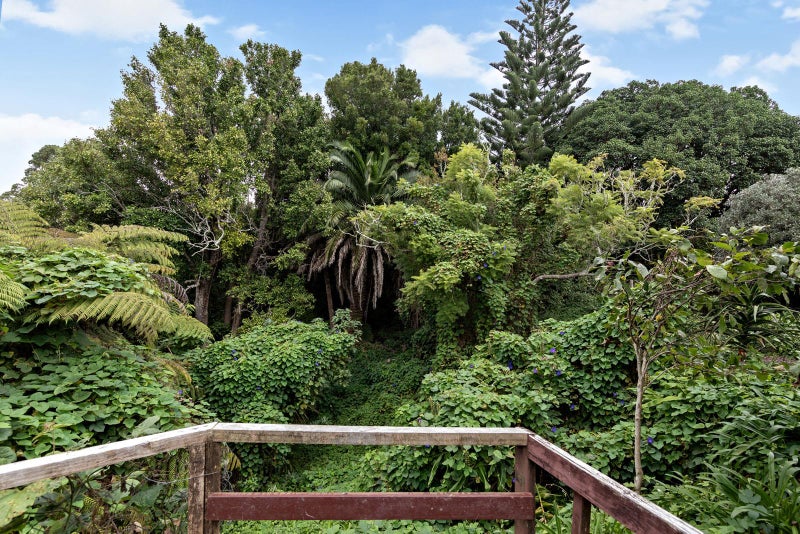 1612A Great North Road, Waterview, Auckland - Carousel 2